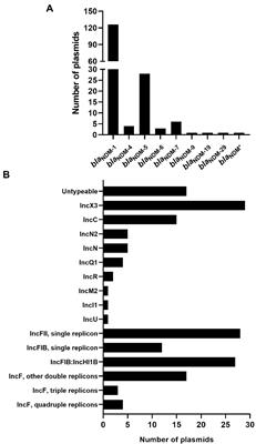 In silico characterization of blaNDM-harboring plasmids in Klebsiella pneumoniae